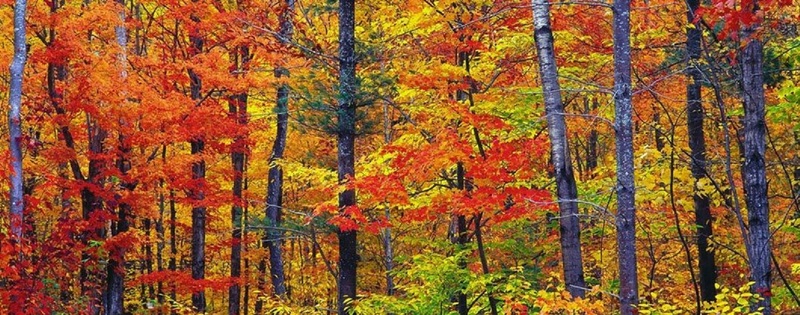 Aujourd’hui, nous fêtons l’arrivée de l’automne !