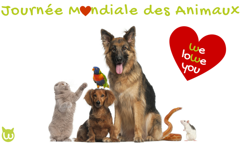 Journée Mondiale des animaux