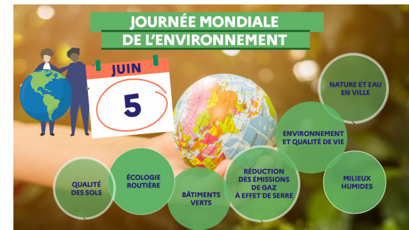 Journée Mondiale de l'environnement Journée Mondiale de l'environnement